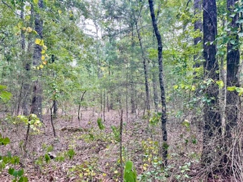 4BFDD55E-B2B6-4936-B83A-1DB412551A48_4_5005_c