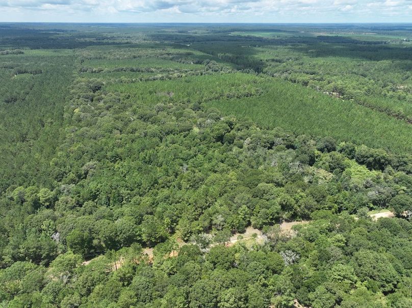 dji_fly_20250814_131952_80_1755192471663_photo