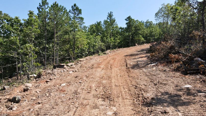 dji_fly_20230624_160828_938_1687640942255_photo