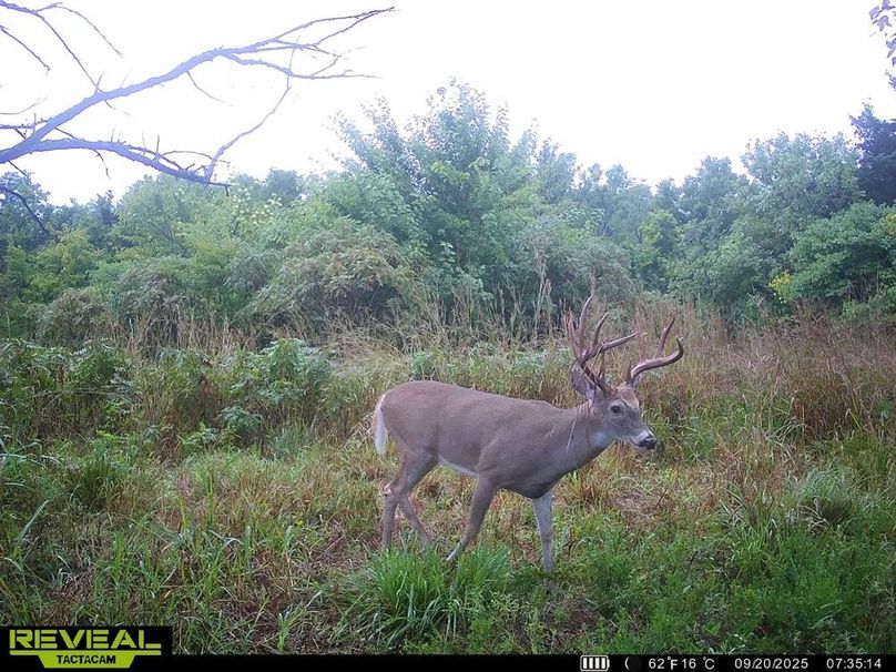 860322065515287-100-3-09202025162905-HD-SYEW5077