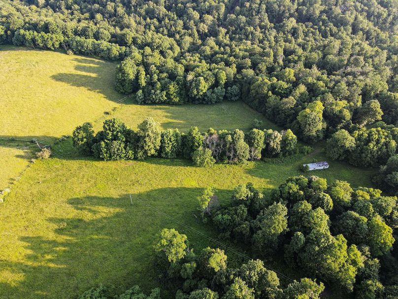 dji_fly_20240617_072016_758_1718623229631_photo 2