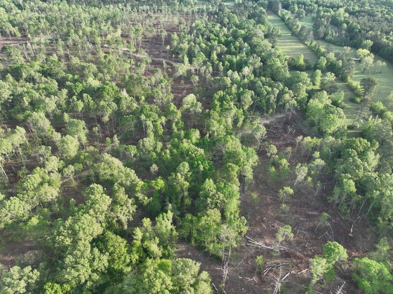 dji_fly_20260407_083516_358_1775580325453_photo