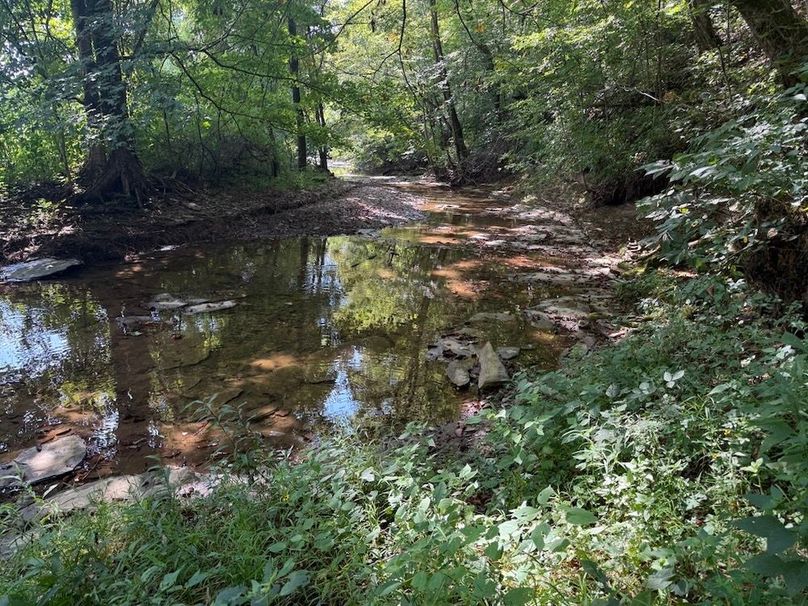 Adair 24.27 Hartsog 16 