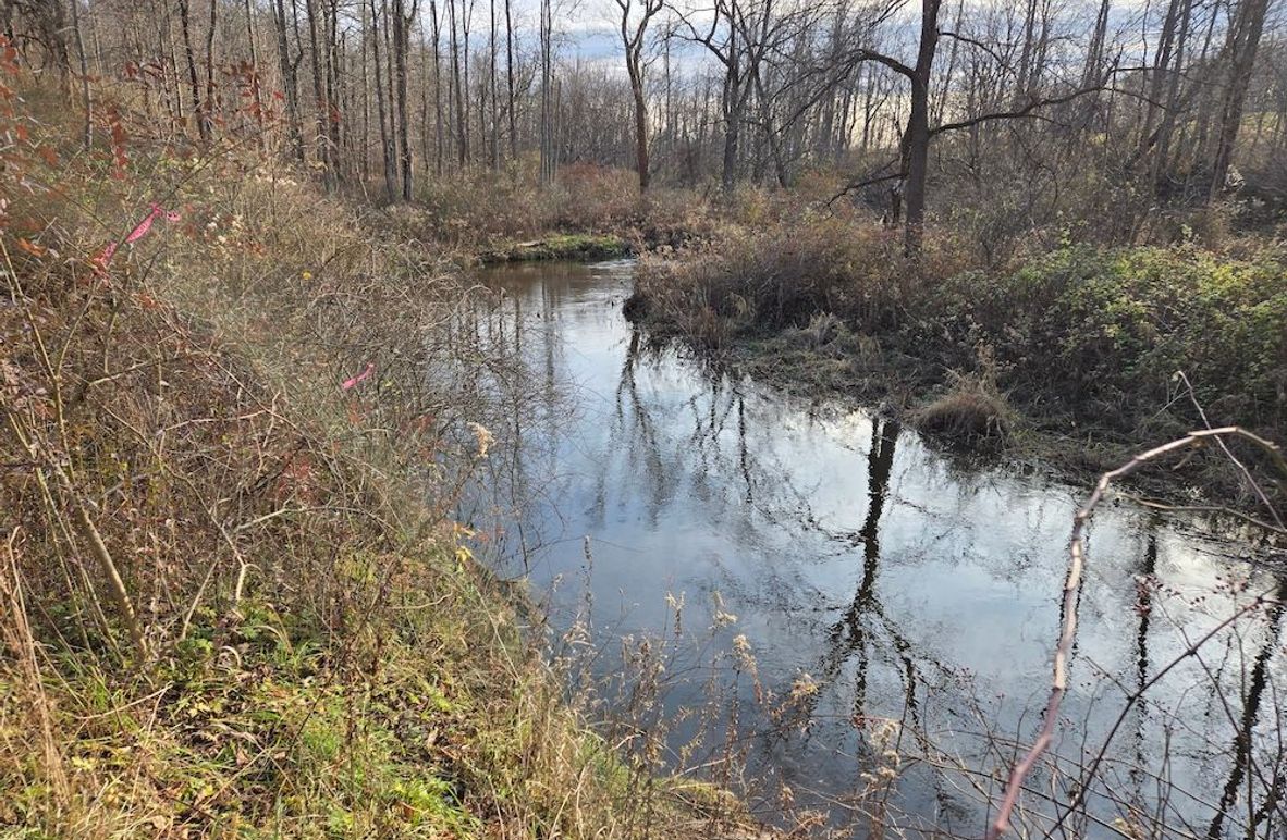 Wayne_25.53_OConnor2