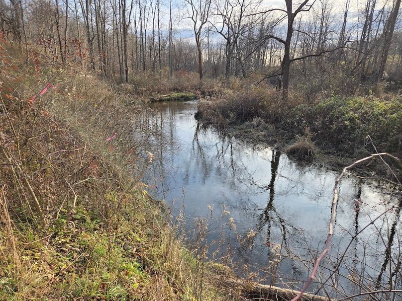 Wayne_25.53_OConnor2