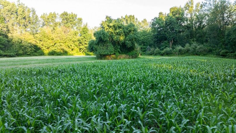 LivingstonMI41.75-136