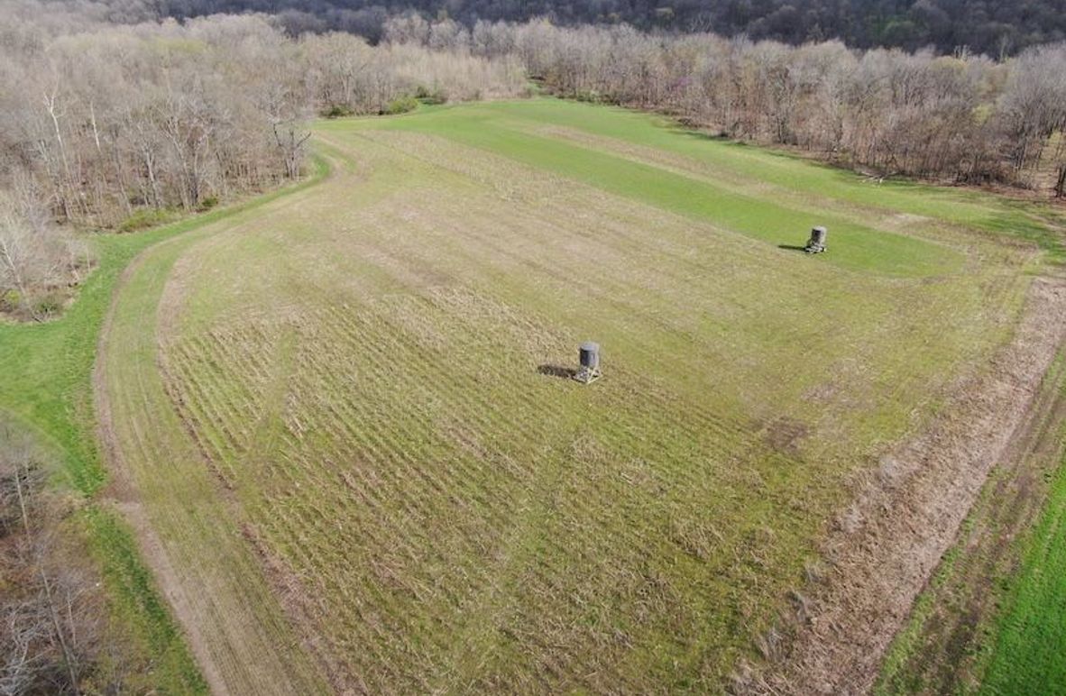 DJI_0839