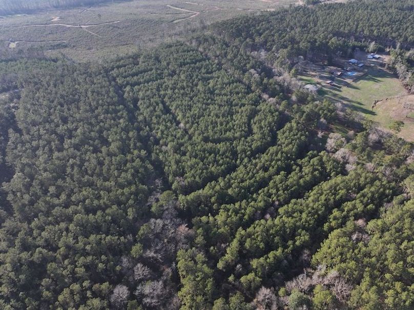 dji_fly_20260216_152030_0081_1771284234586_photo