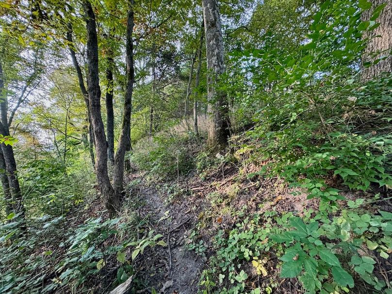 Richland 199Ground - 24