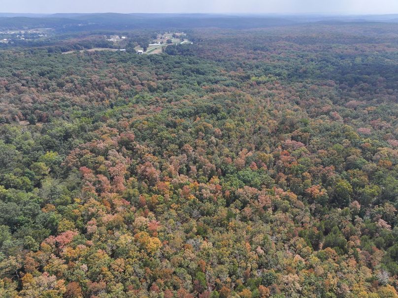 DJI_20250904124021_0572_D