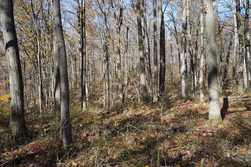 Somerset, 10.91, Tinkey-29