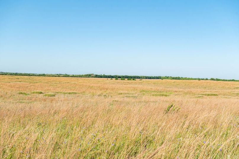 Kiowa Co Ks 198-60