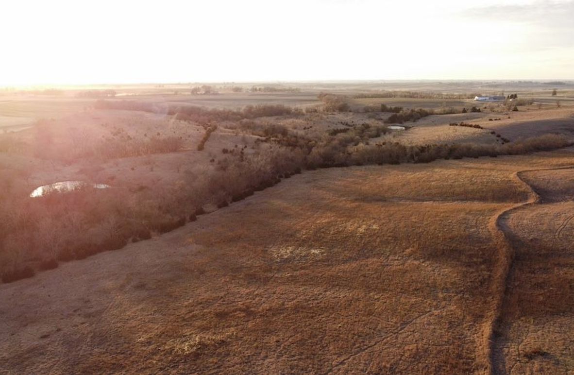 MONTGOMERY CO IA 156.78_1