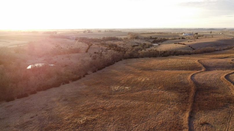 MONTGOMERY CO IA 156.78_1