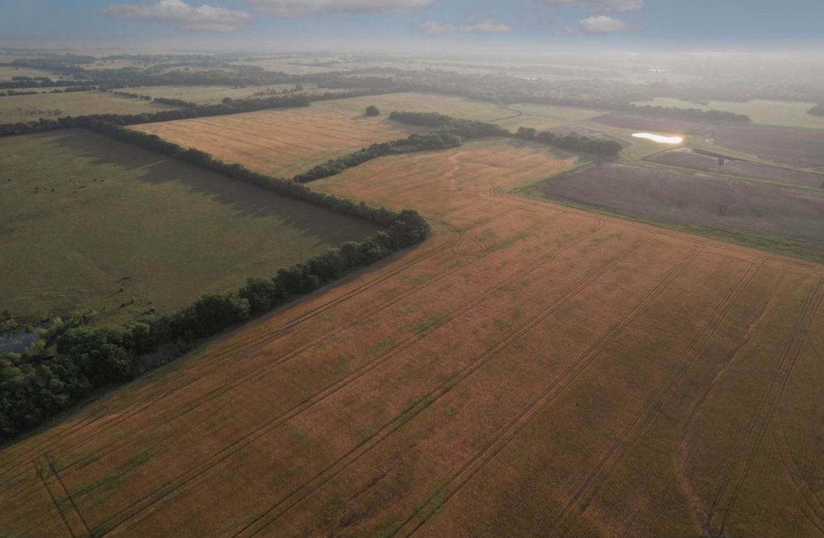 Lamar County- 92.66 Acres (4 of 29)