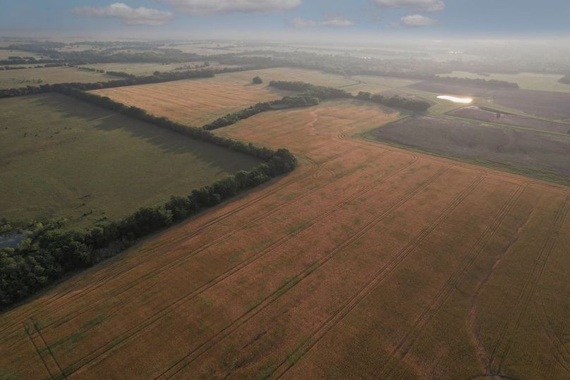 Lamar County- 92.66 Acres (4 of 29)