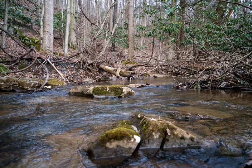 Somerset, 20, Hostetler-52