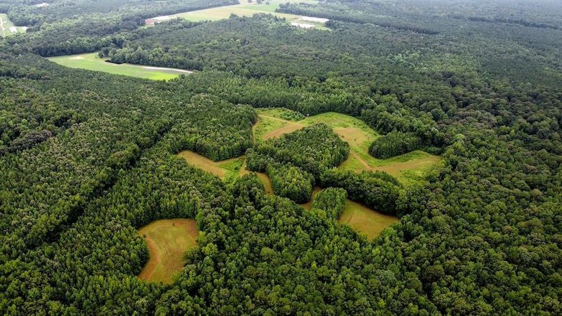 dji_fly_20250802_102118_576_1754144498993_photo_optimized