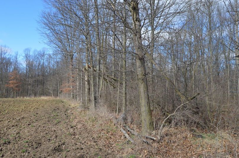 SE corner looking west