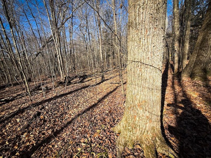 Chemung_31.75_Seymour_North_Photos_13