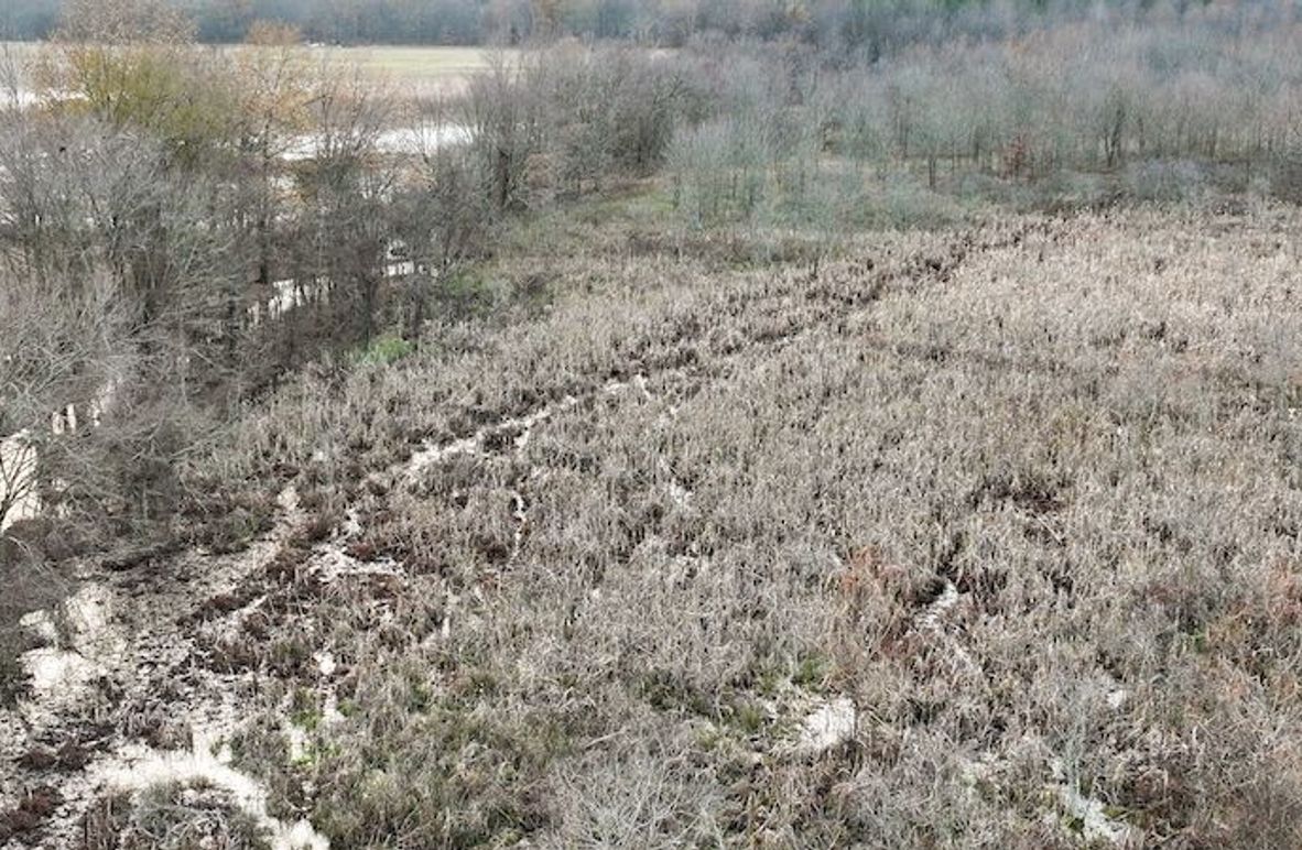 Monroe 80 Driver Dixon (Final Frontier) -02