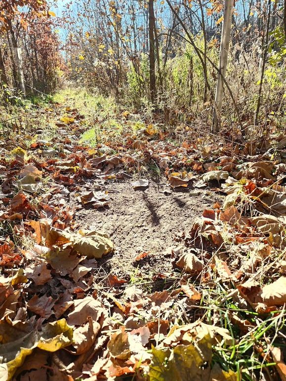 471f7923-e338-48ac-8515-2cde769fd555