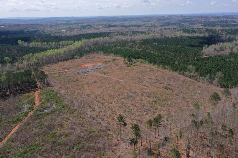 Copy of 400ftCardinal-8