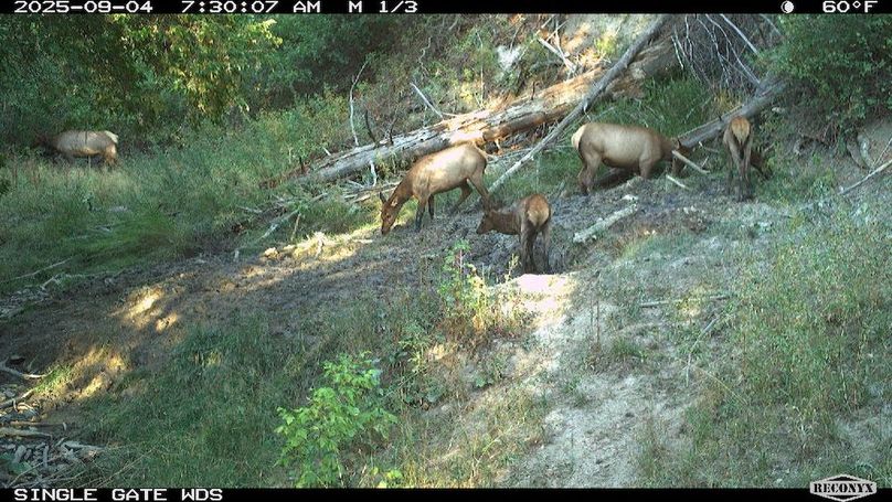 6B950E2E-15B4-4E65-971F-7F0A2FB441E4