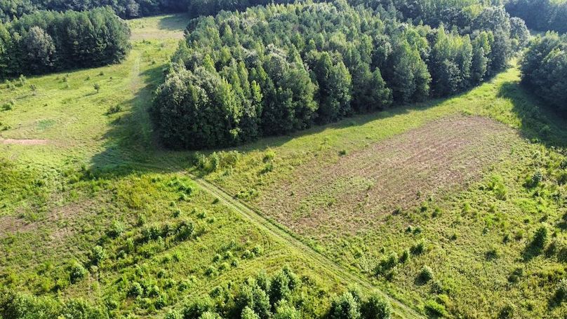 dji_fly_20250726_091402_509_1753535652512_photo_optimized