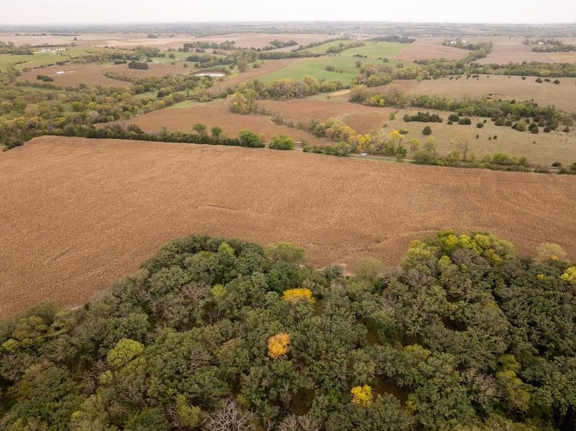 DJI_20251011101321_0112_D