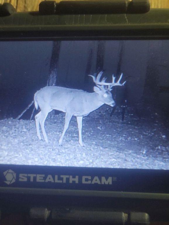 Crawford 11 New pics - 5