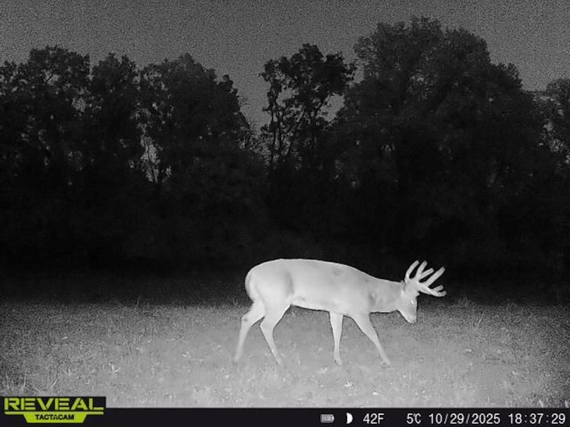 Copy of Trail photos.13