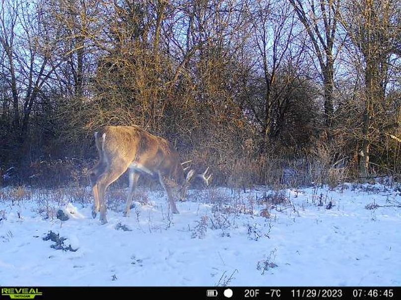 868032067149447-50-4-11292023074646-V-W1004461