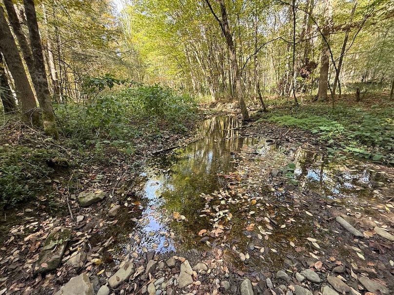 Tioga_30_Flanner Photo 23