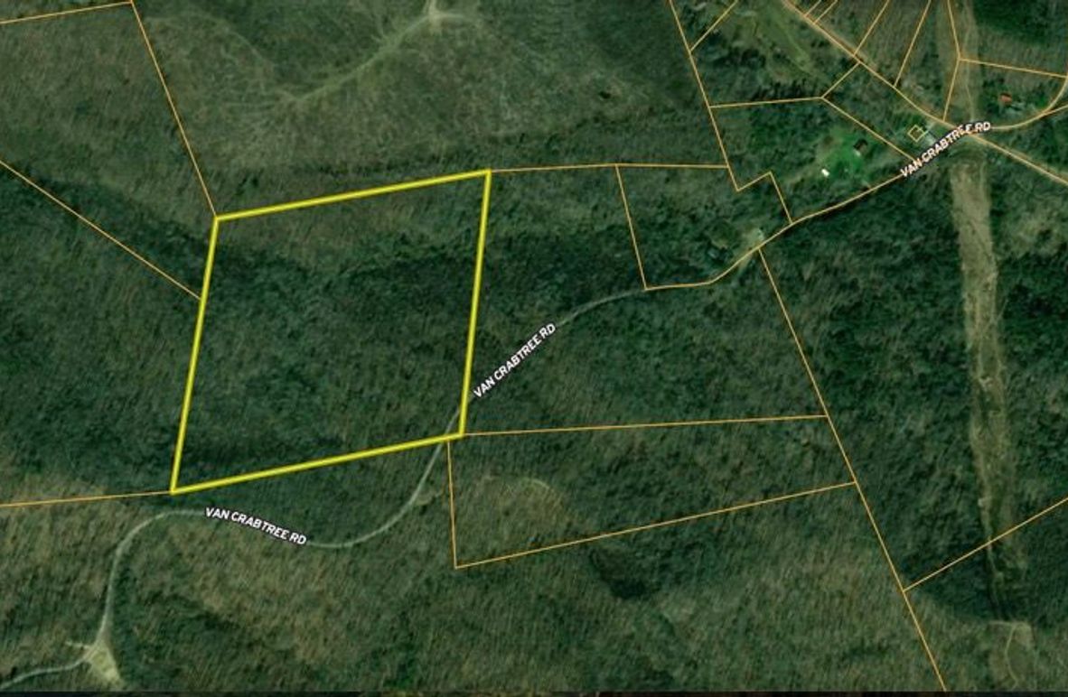 Screenshot 2025-06-16 at 11.07.42 AM