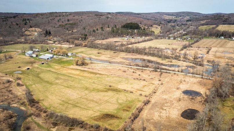 Tioga__NY_109.7_Burris_Photos_100