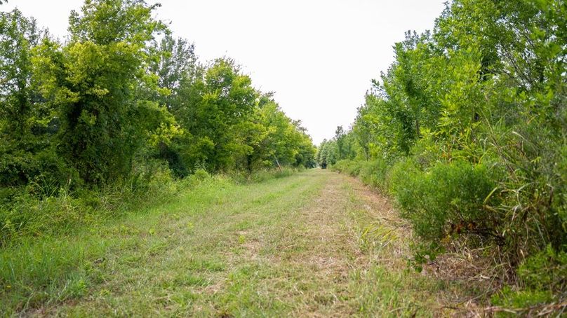 MadisonParLa1372-152