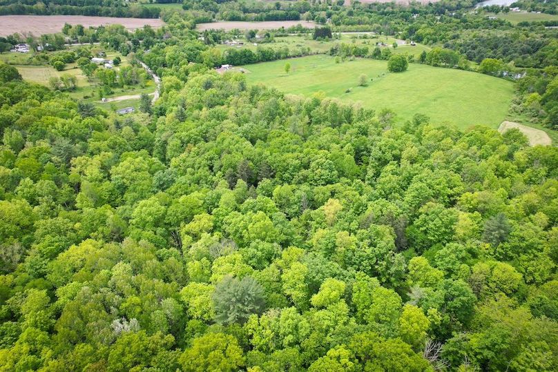 Tioga_31.4_Kemp_Photos_36