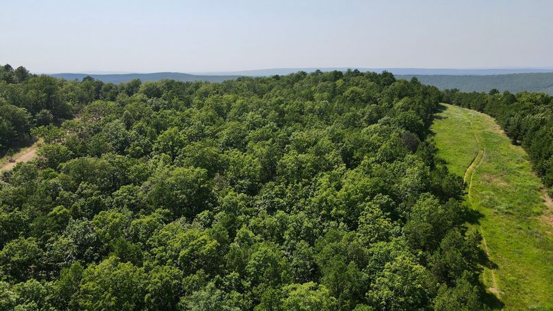 dji_fly_20230624_155822_921_1687640336801_photo