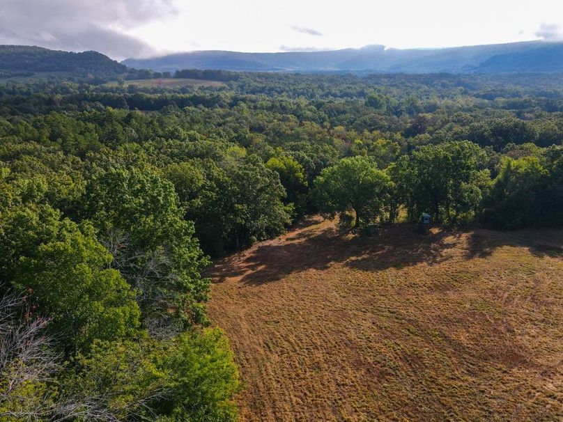 dji_fly_20250826_083322_674_1756215235600_photo