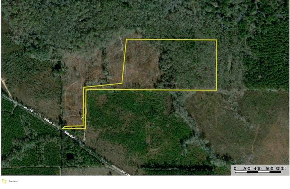 Vernon_35_Ariel copy