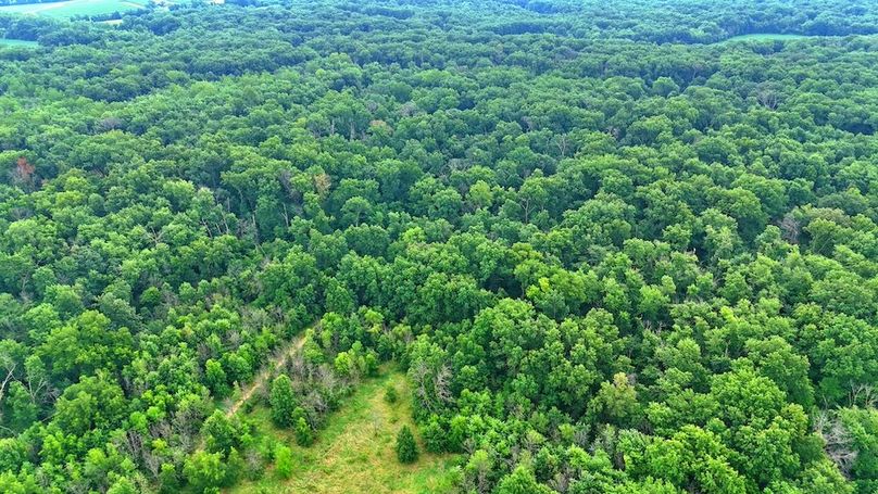 dji_fly_20250726_094820_0013_1753722833997_photo