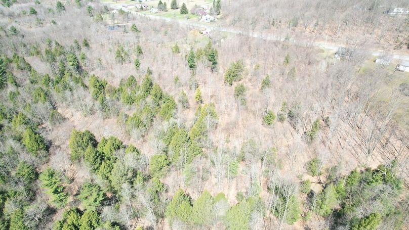 dji_fly_20250417_112902_135_1744904179420_photo