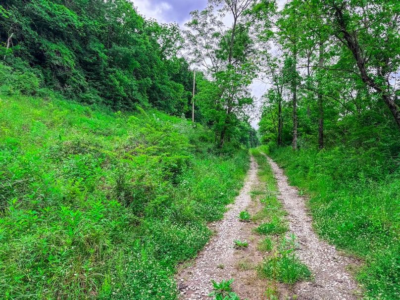 Wirt, WV 137.45 AC Full-09