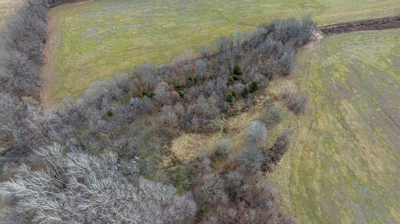 Copy of DJI_20260116095527_0023_D Large