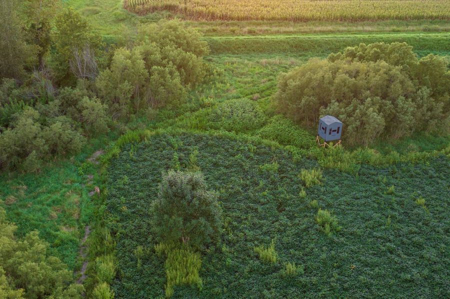 DJI_0160