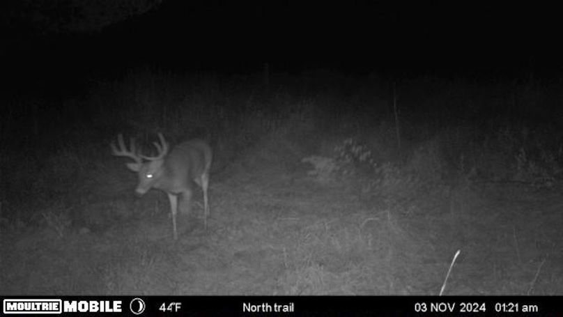 Temp_1082396-20241103062239-100MFCAM-MFDC1356