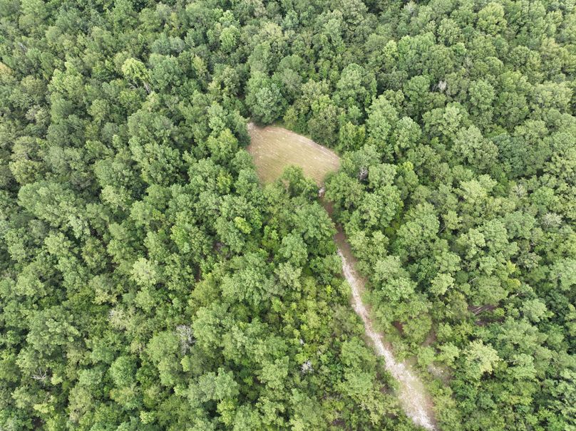 dji_fly_20230727_170126_388_1690507713640_photo 3