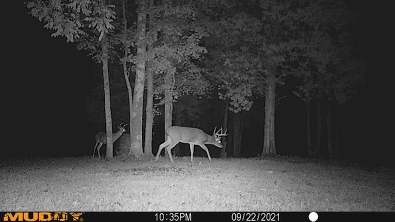 trailcam8
