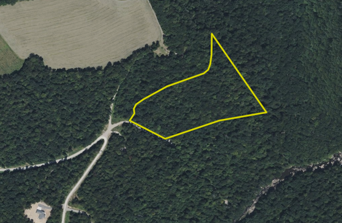 Screenshot 2025-06-16 at 12.56.18 PM